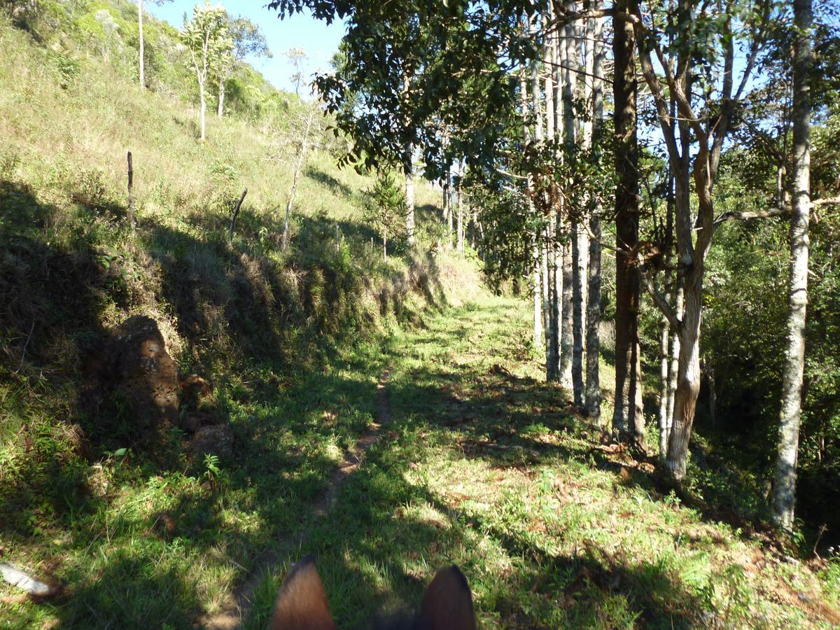 Casa De Campo Rustica Em Fazenda Usina Bocaina de Minas Ngoại thất bức ảnh