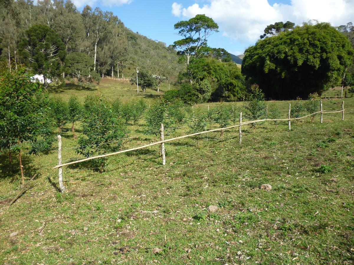 Casa De Campo Rustica Em Fazenda Usina Bocaina de Minas Ngoại thất bức ảnh