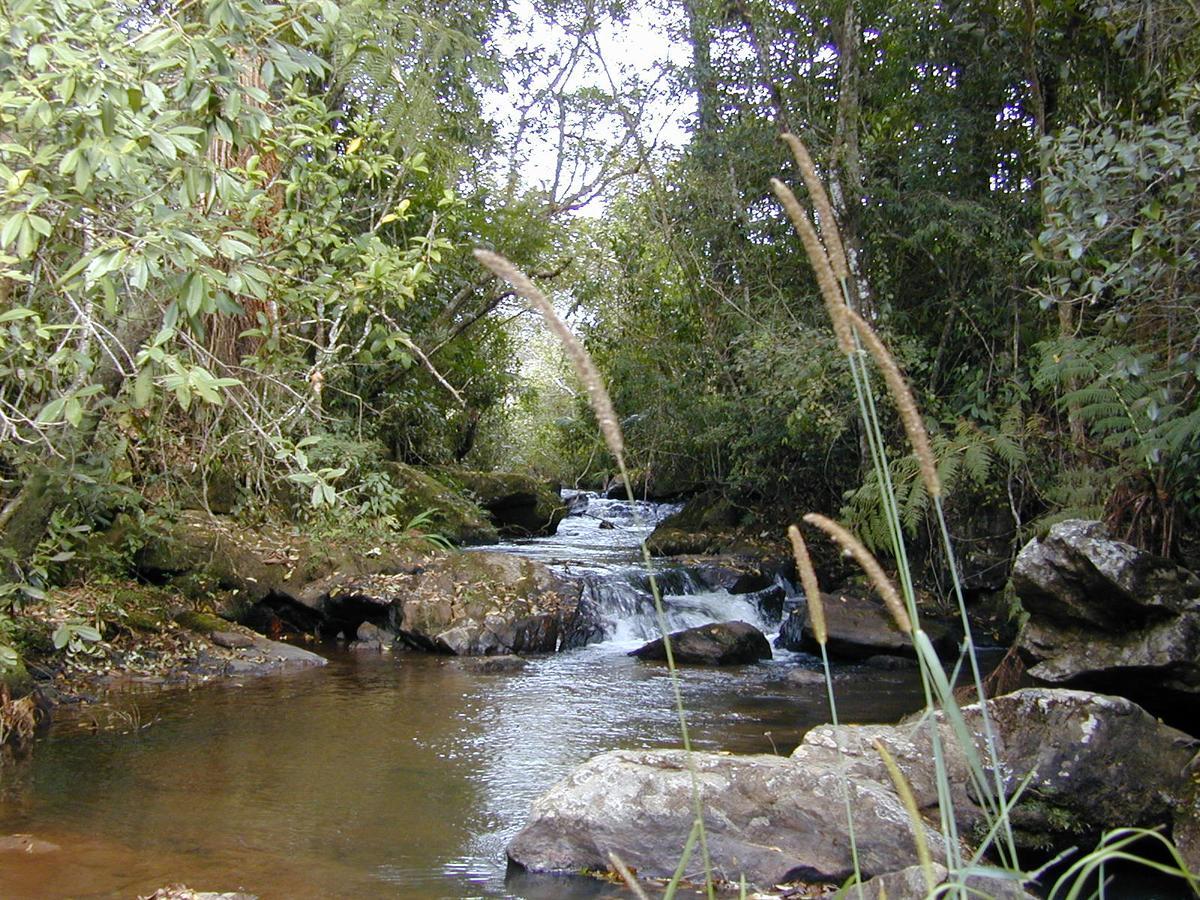 Casa De Campo Rustica Em Fazenda Usina Bocaina de Minas Ngoại thất bức ảnh