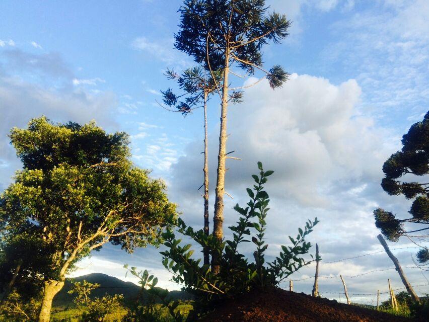 Casa De Campo Rustica Em Fazenda Usina Bocaina de Minas Ngoại thất bức ảnh